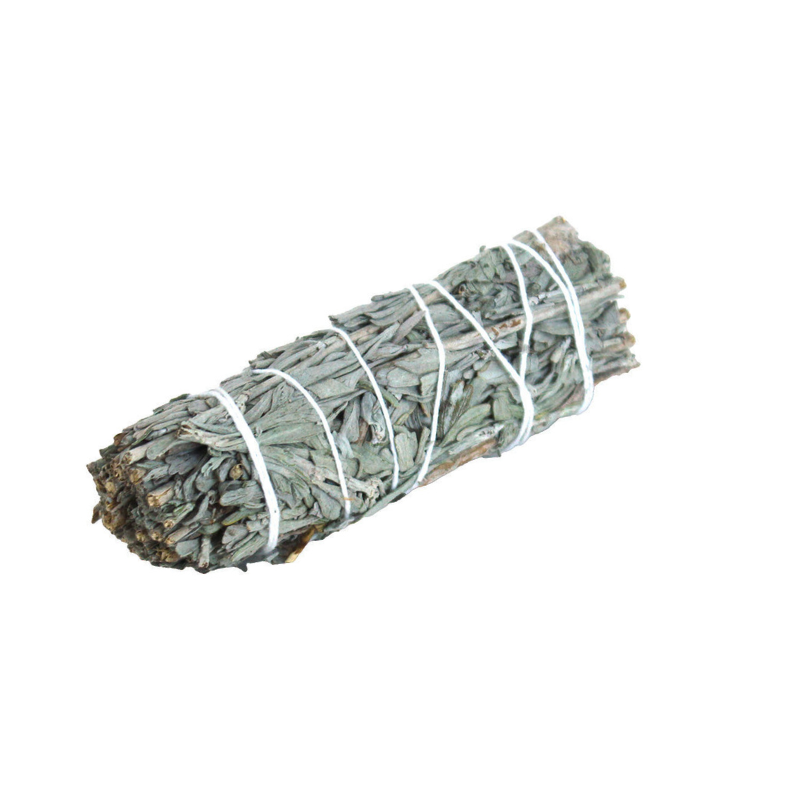 4" Variety Smudge Sage Sticks (Retail) - REGEN THE BODY