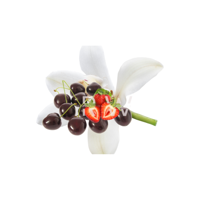 Compare to aroma BLACK CHERRY AIR FRESHENER & BURNING OIL® (Wholesale) - REGEN THE BODY