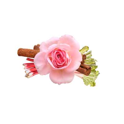 Compare to aroma EGYPTIAN MUSK  AIR FRESHENER & BURNING OIL®  (Wholesale) - REGEN THE BODY
