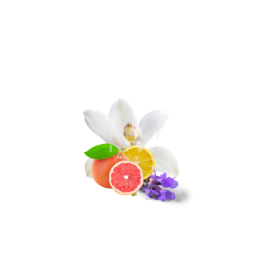 Compare To Aroma FRUIT LOOPS AIR FRESHENER & BURNING OIL® (Wholesale)