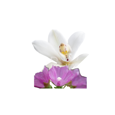 Compare to aroma GAIN AIR FRESHENER & BURNING OIL ®  (Wholesale)