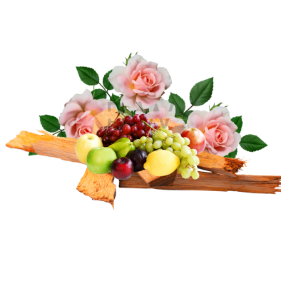 Compare to aroma EAT IT RAW AIR FRESHENER & BURNING OIL ® (Wholesale) - REGEN THE BODY