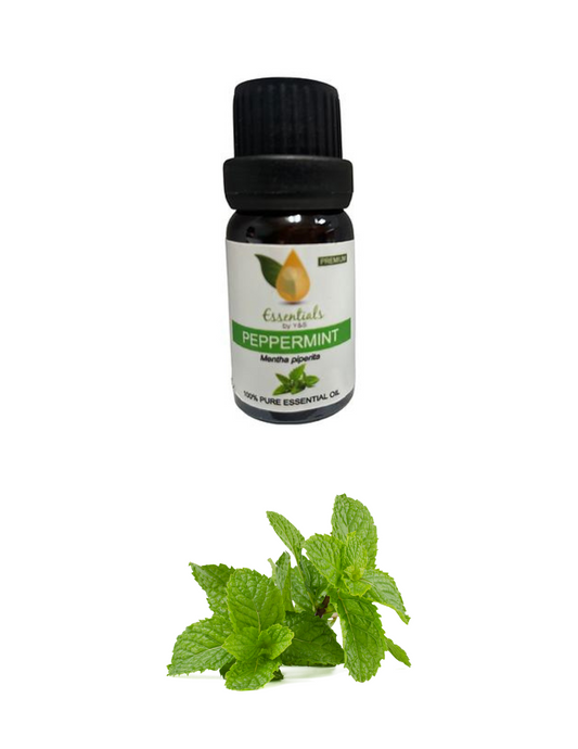 Peppermint Essential Oil - REGEN THE BODY