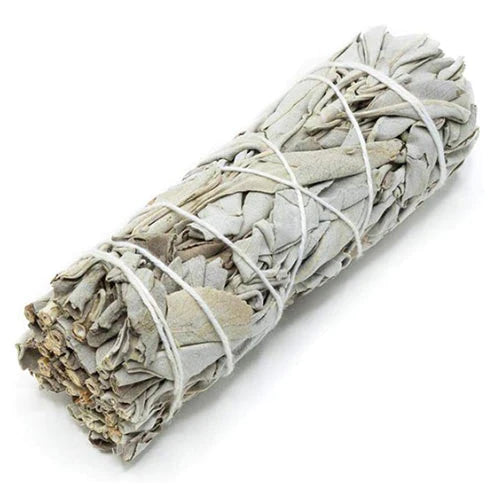 4" Smudge Sage Sticks - REGEN THE BODY